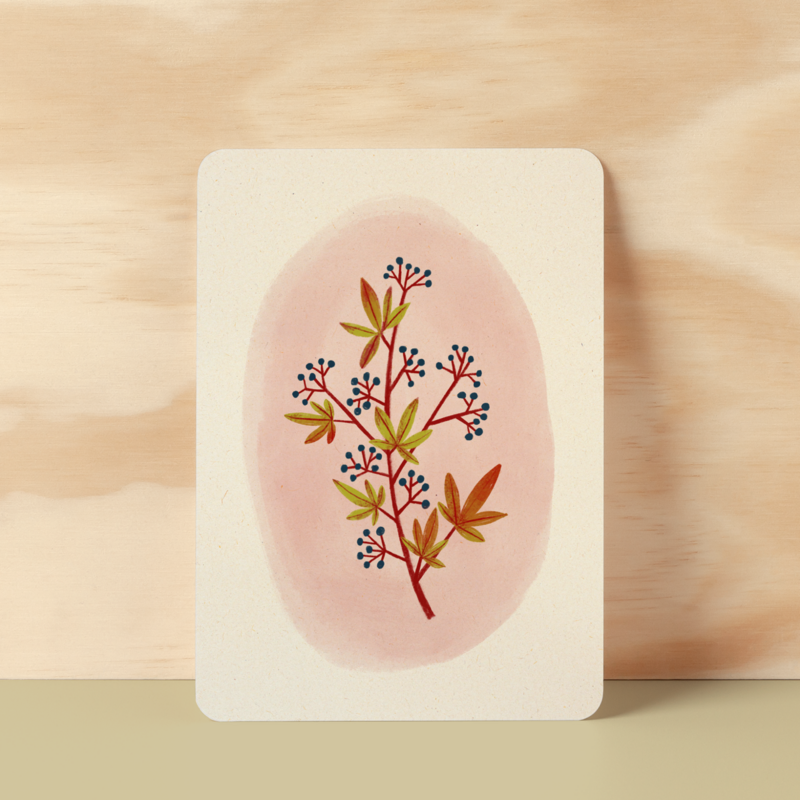 Postcard | Virginia creeper