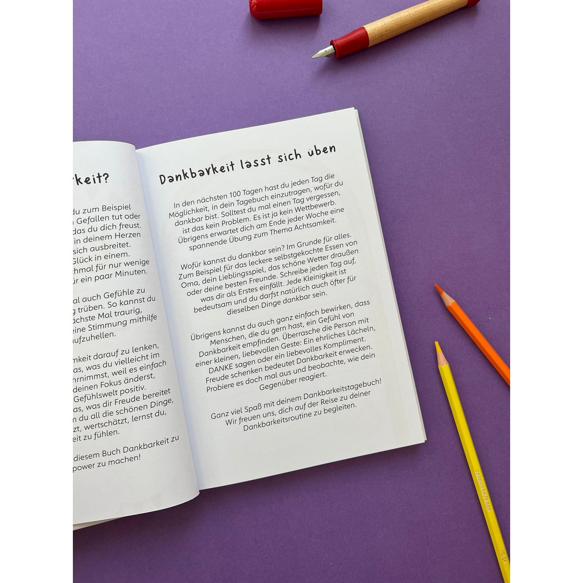 THE LIFE BARN Gratitude Diary What I Am Thankful For Kids