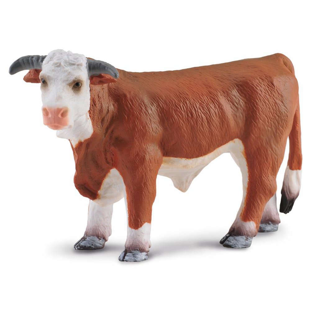 Hereford Stier - (L)
