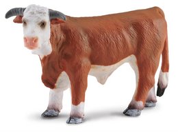 Hereford Stier - (L)