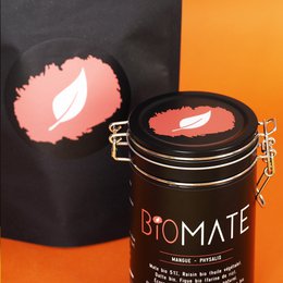 Summer Range : Organic Mango Physalis - Yerba Mate