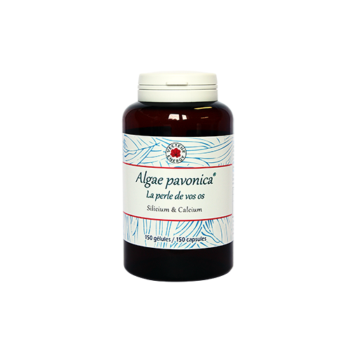 Algas Padina Pavonicus 150 Gelse Vegetales 500mg