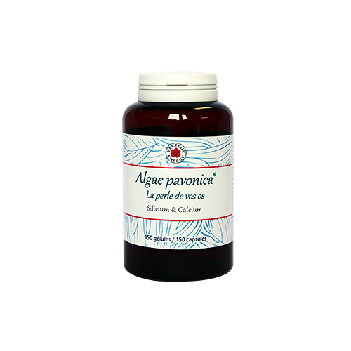Algas Padina Pavonicus 150 Gelse Vegetales 500mg