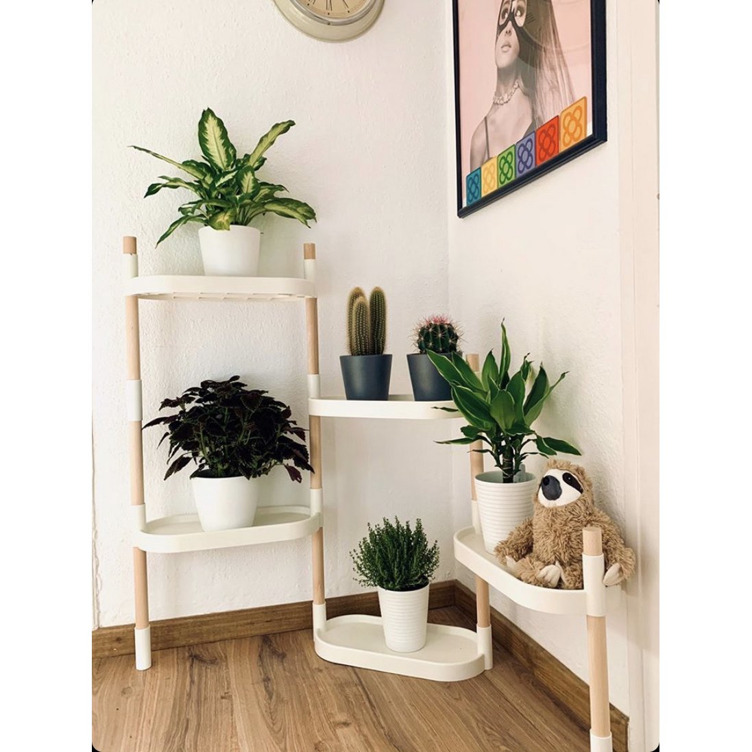 Plantenplanken 6 trays