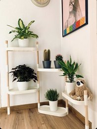 Plant shelves 6 trays