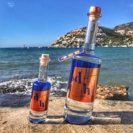 The Drunken Horse Gin