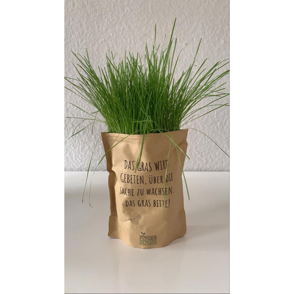 A bag of grass (lawn seeds)