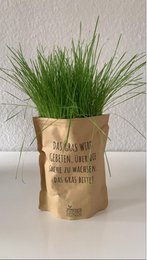 A bag of grass (lawn seeds)