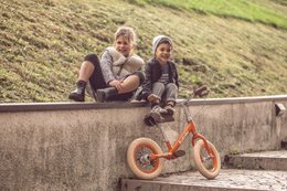 Fruit collection - Alu balance bike - Tire wheels - Rear brake - Orange