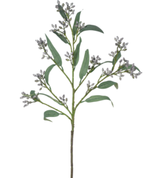 Artificial gray eucalyptus branch with white flowers, 78 cm tall.