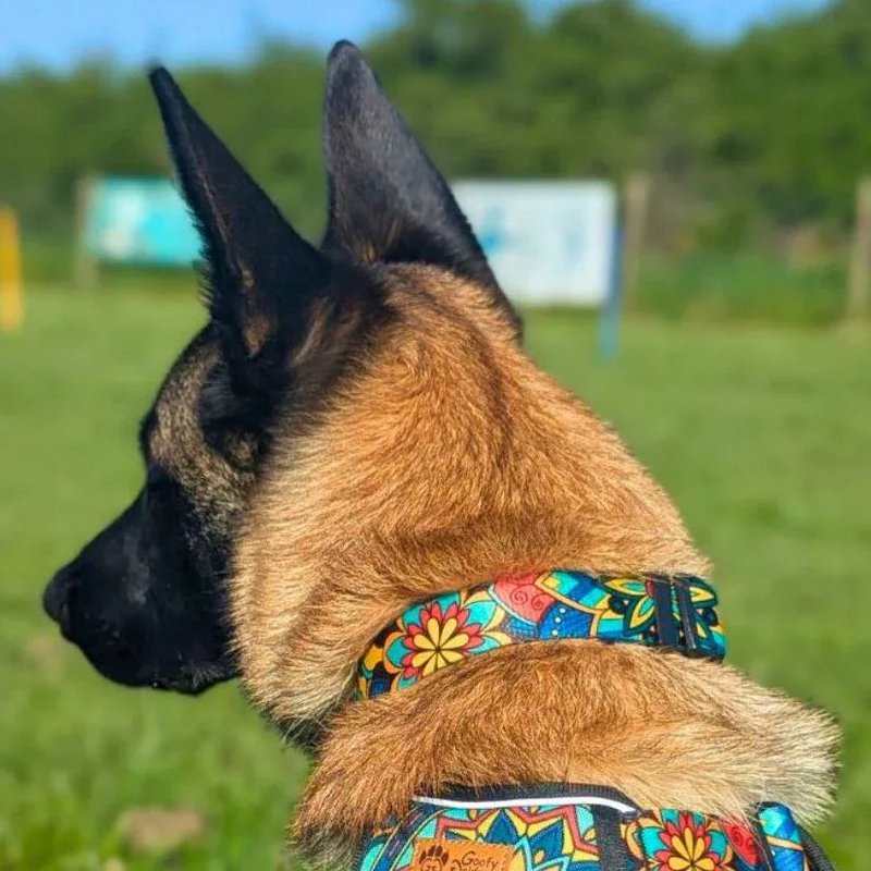 Mandala dog necklace