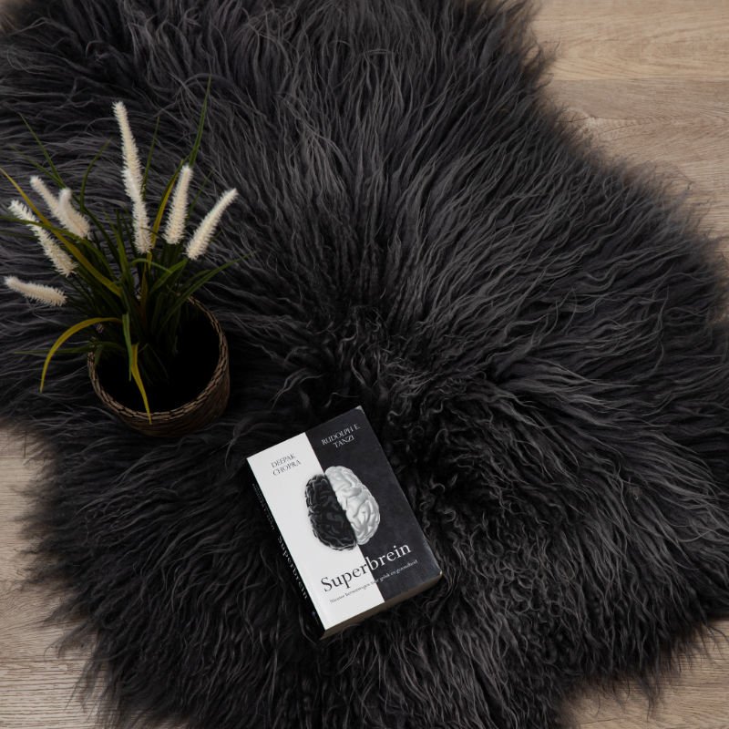 LANA Piel de oveja - Islandés Gris oscuro CURLY