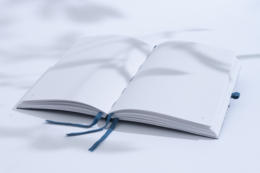 vegan bio-leather notebook - Luisa