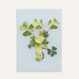 A poster featuring a vibrant arrangement of green clover leaves against a light blue background. The poster has a minimalist, botanical design.