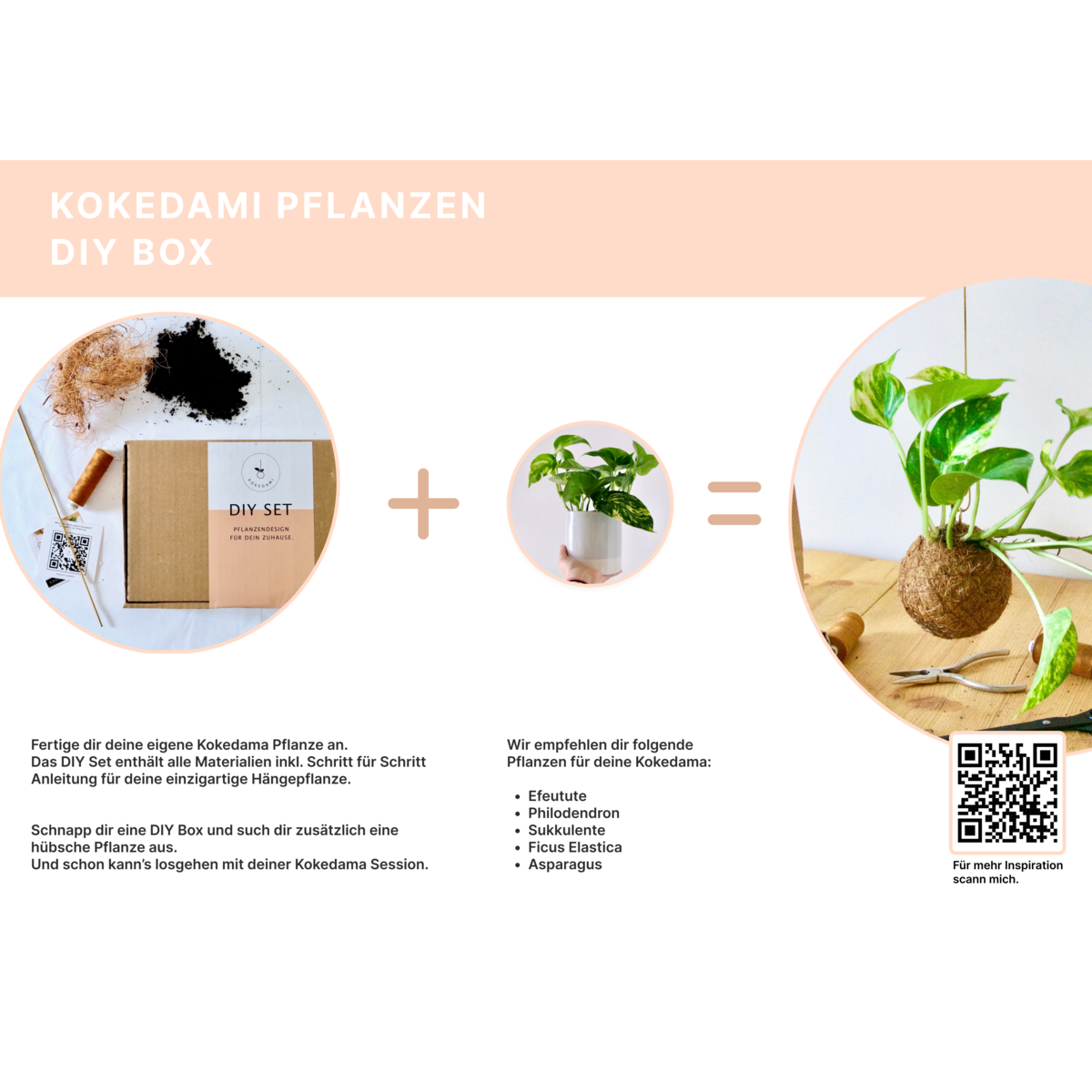 Zestaw DIY Kokedami