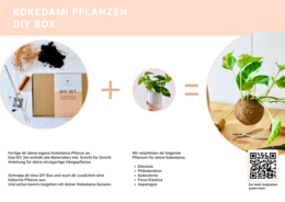 Kokedami DIY Kit