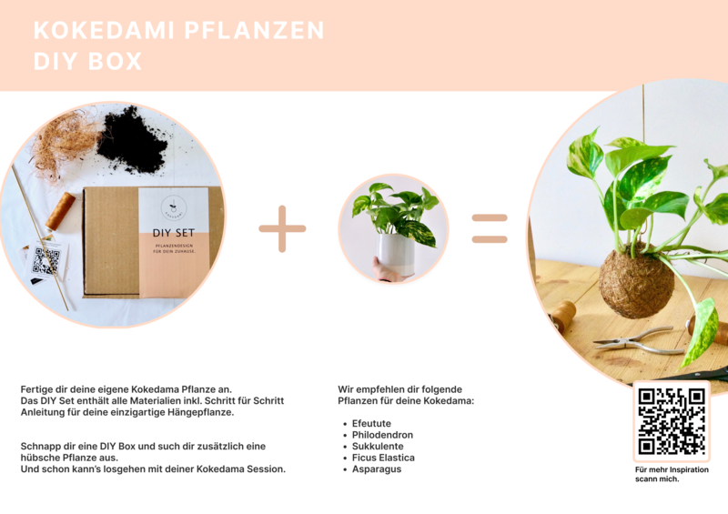 Kokedami DIY Kit