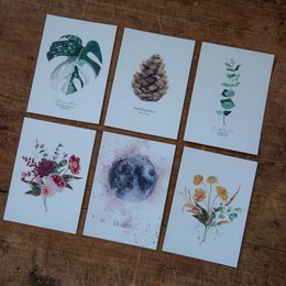 ANSICHTKAART GELE BLOEMEN