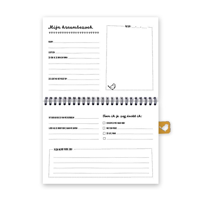Maternity visit fill-in book A5 | pink