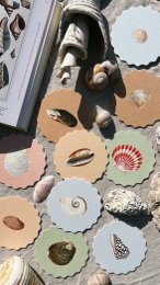 Coaster/Coaster 10 motifs shells - 12 sets