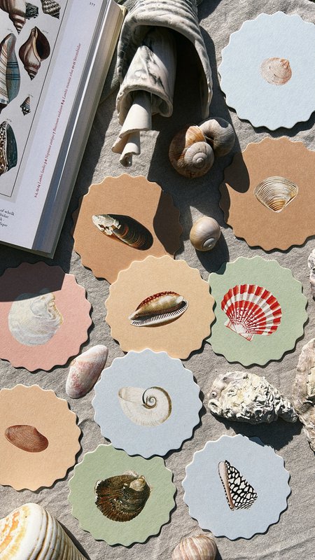 Coaster/Coaster 10 motifs shells - 12 sets