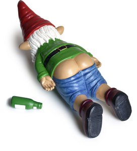 Drunken Gnome Passed Out