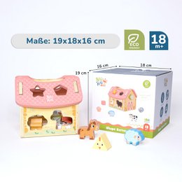 BusyKids sorting house