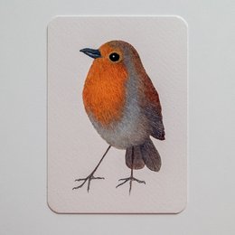 Postkort ROBIN