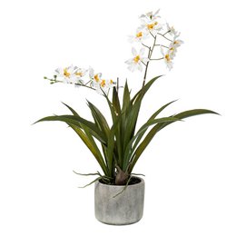 Kunstig plante - Orkidé - Hvid - 45cm