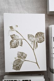 BlackBerry | En dag i skoven | Naturinspirerede lykønskningskort