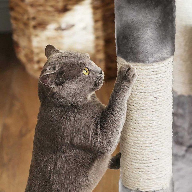 Scratching post Nick