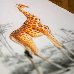 Textile poster with leather cord - Illustration Giraffe D'Orbigny 65x45 cm - wall cloth