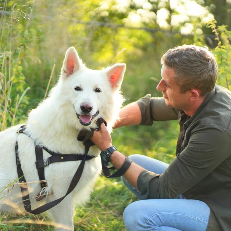 Norwegische Zahnspangen für einen Hund aus der flauschigen Welpenmarke, natürliches Leder, 3 Größen, handgefertigt!