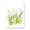 Double card with env. Lily of the field