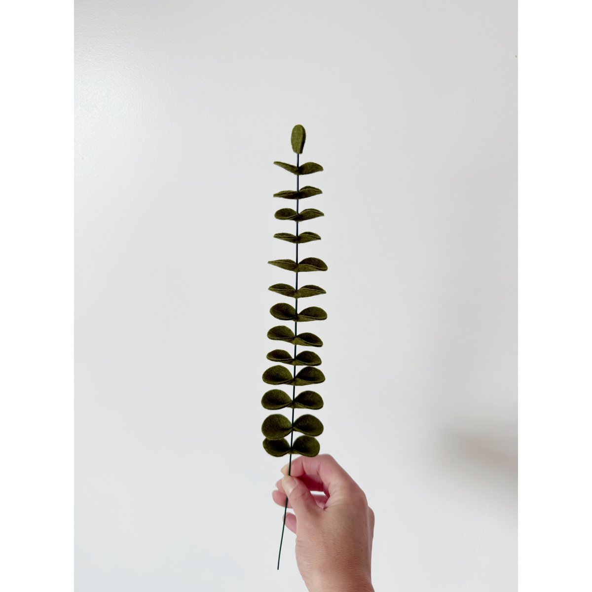 Feltbloem eucalyptus dark green