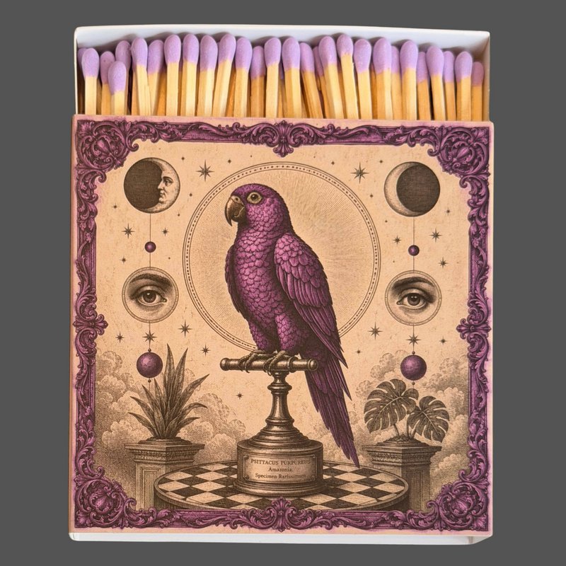 Curiosity Parrot Matches