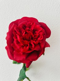 QMF Hand Touch Rose 65 cm 1 STK rød