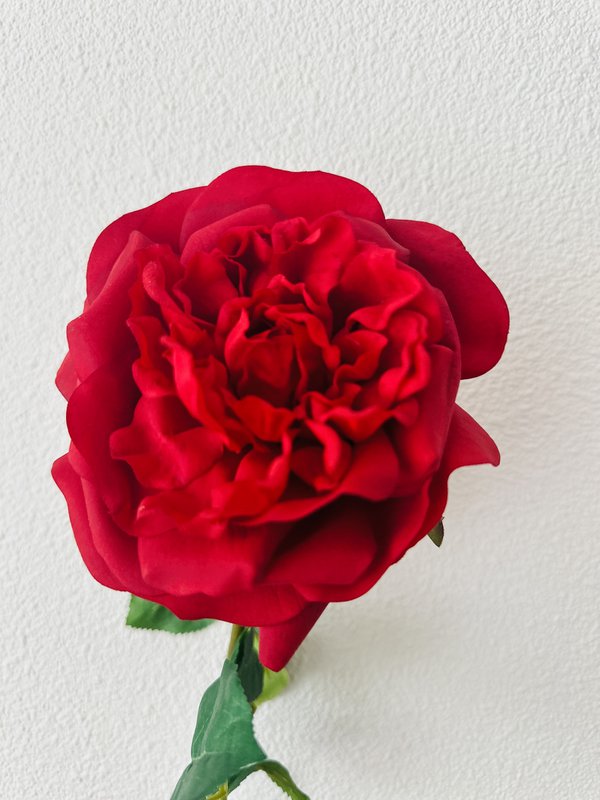 QMF Hand Touch Rose 65 cm 1 STK rød