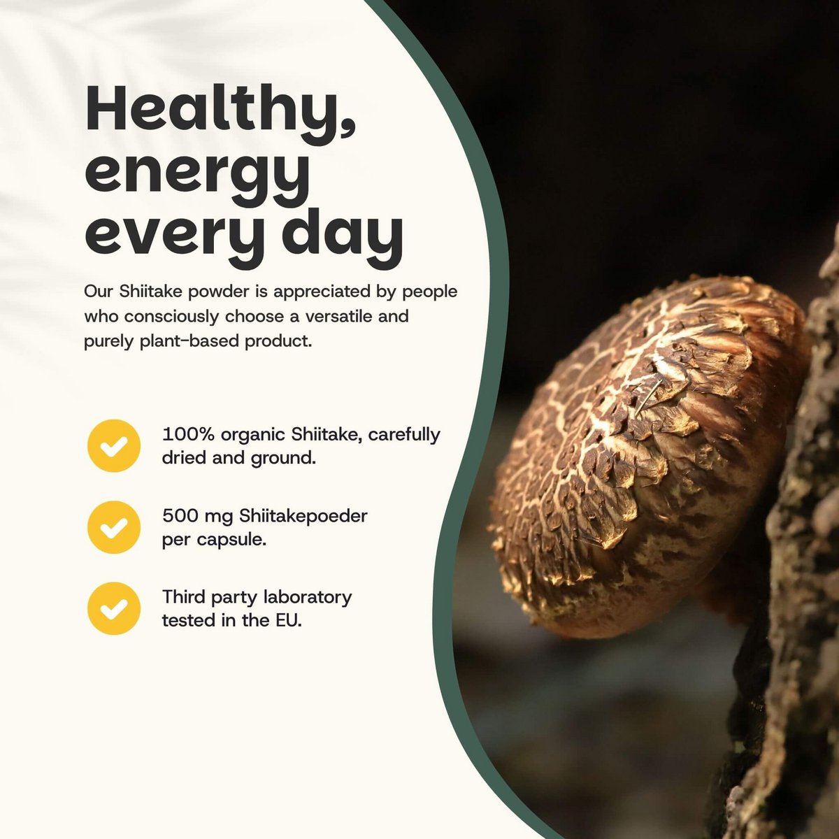 Shiitake Powder Organic -  60 Grams