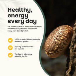 Shiitake Powder Organic -  60 Grams
