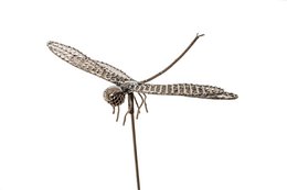 LIBELLULA XL IN METALLO SU BASTONE
