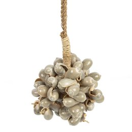 Die graue Muschelquaste