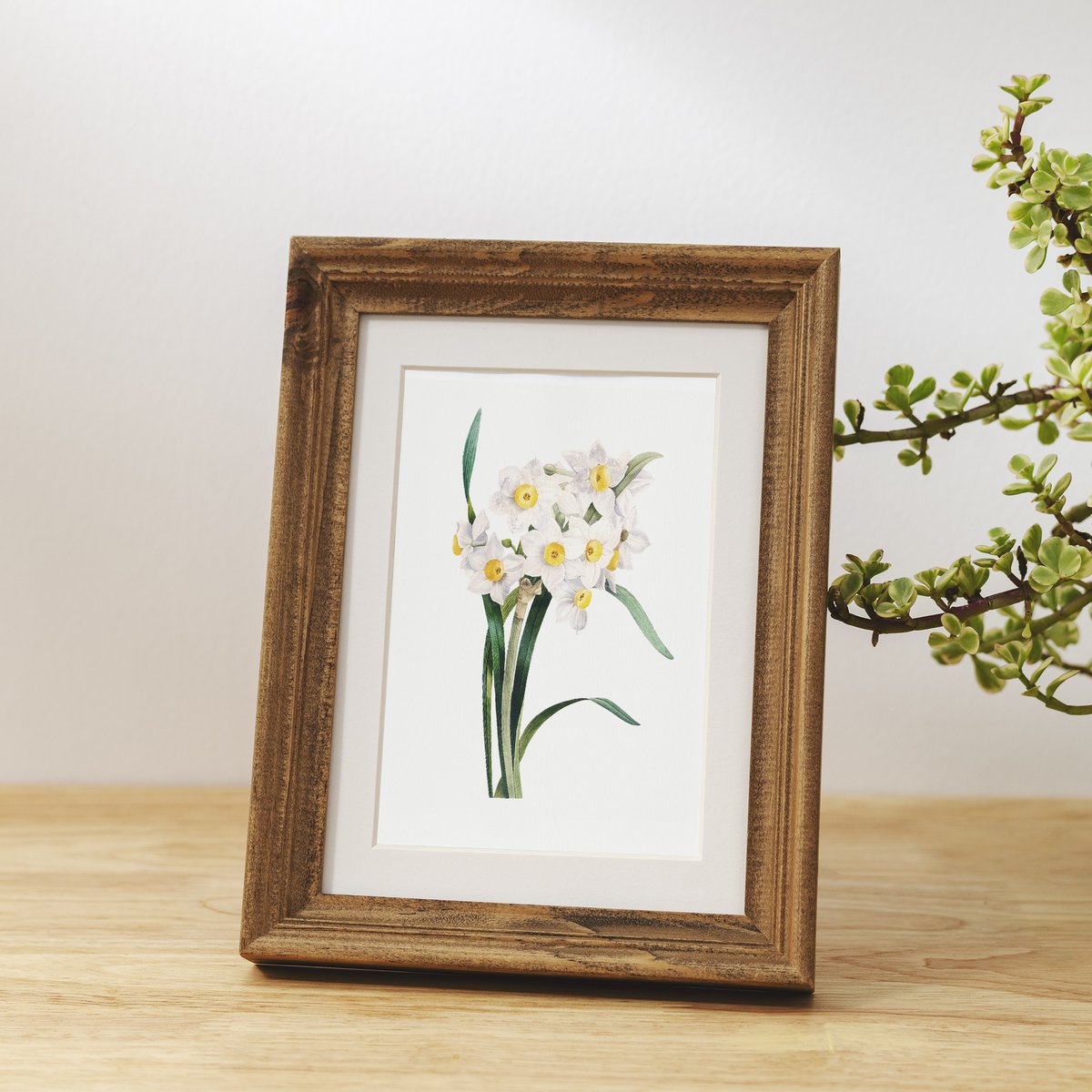 Botanische kunst print mix x16 | Vintage bloem illustratie | Kunst aan de muur