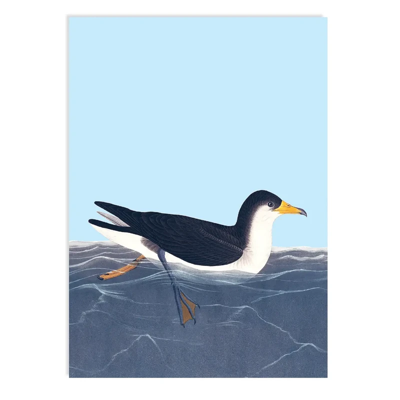 Postkarte All At Sea (Möwe)