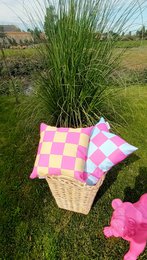Outdoor Kussen dubbelzijdig geblokt/hart 40x40 (geel/roze)