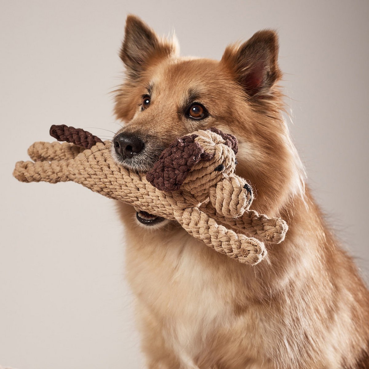 Doggy Dog - giocattolo cult per cani