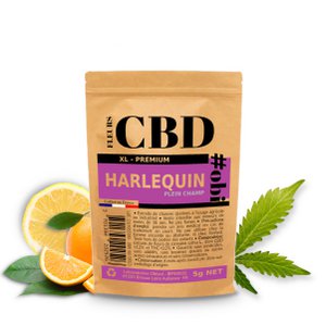 Harlekin XL CBD-Blumen