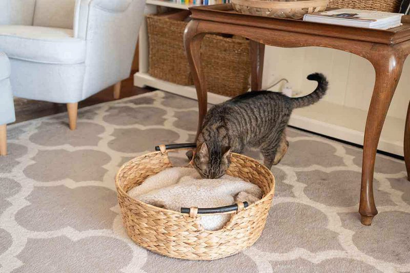 Large laundry tub, basket braided out of water hyacinth with wooden handles