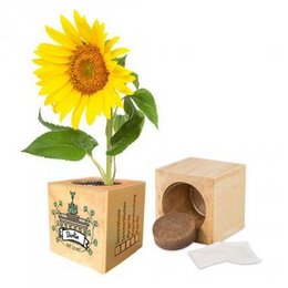 City Love® | Berlin planteterninger forskellige frø