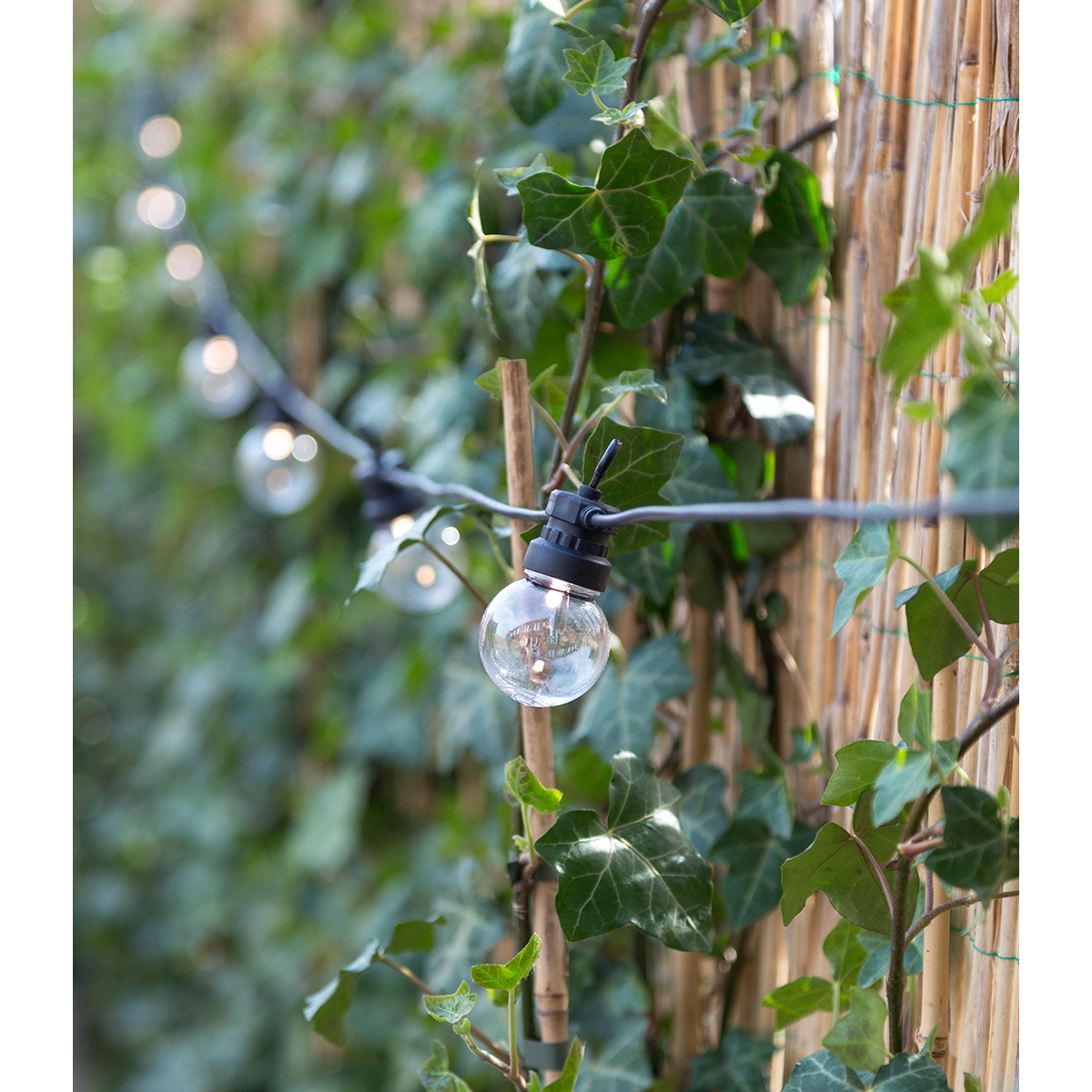 Regular Patio Lights Round Bulbs